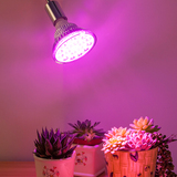LED全光谱多肉发财树蔬菜育苗兰花水草植物生长补光专用太阳灯