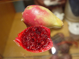 【20粒】仙人果种子新鲜水果仙人掌果养生降火 盆栽水果种子桌面