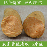 蓟县新鲜地瓜 小红薯 纯天然农家黄心番薯 山芋烤地瓜5斤包邮