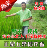 青山米店新米东北五常稻花香贡米非转基因不抛光农家特产有机大米