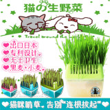 猫岛宠物●出口日本专利 无土种植猫草盒盆套装去毛球 黑麦+大麦