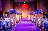 大燕 婚庆地毯 紫色彩色地毯 婚庆一次性地毯 结婚地毯