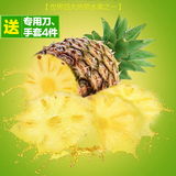 新鲜菠萝越南香水菠萝云南大小菠萝泰国海南菠萝台湾凤梨2个4斤
