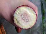 一点红紫薯红薯绿色农产品 特产地瓜新鲜蔬菜生鲜番薯农村淘宝
