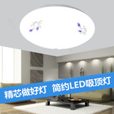 LED节能吸顶灯百合凤尾全白现代简约客厅卧室阳台厨房家装灯具