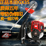 包邮广州本田GX35背负式四冲程割灌机割草机汽油割稻机草坪打草机