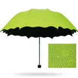 遇水开花晴雨伞超强防晒折叠太阳伞防紫外线黑胶遮阳伞见水就会出