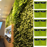 壁挂绿植花盆植物多肉花盆绿萝盆栽客厅墙壁花盆植物墙