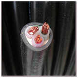 正品杭州中策牌电线电缆VV/YJV3*10平方国标纯铜三芯电力硬电缆
