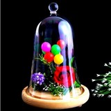 DIY微景观花瓶永生花罩创意圆球特色玻璃景观罩装饰罩子礼物摆件