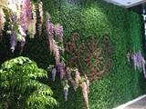 丽姐仿真草坪人造草皮塑料假草坪装饰背景植物墙壁米兰草坪批发