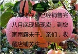 大沙河苹果水果特产新鲜红富士苹果冰脆甜冰糖心苹果10斤包邮