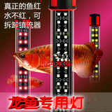 包邮鱼缸灯龙鱼专用LED灯红龙罗汉鹦鹉鱼照明增红水陆两用潜水灯