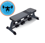 专业多功能哑铃凳平凳SB661仰卧板飞鸟凳大重量卧推凳健身器材