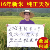 2016年新米农家自种香米不抛光农家米广东特级丝苗大米2.5KG+包邮