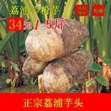 正宗广西桂林特产荔浦芋头紫藤香芋槟榔芋新鲜有机蔬菜5斤装包邮