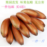 红皮香蕉果园直销新鲜水果自然熟红色香蕉 红米蕉