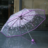 透明雨伞折叠三折伞学生超轻迷你儿童宝宝创意韩国日本可爱透明伞