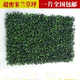 超值 仿真草坪绿化 墙体草皮米兰草 阳台绿植装饰 绿色植物背景墙