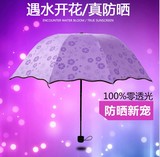 韩版晴雨伞创意遇水开花天堂伞三折叠黑胶防晒防紫外线遮阳女士伞
