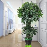 假树发财树仿真植物大型落地盆栽景塑料装饰假花仿真客厅室内绿植