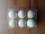6枚中号鸡蛋托蛋盒光咸蛋洋鸡蛋托盘PVC塑料现货吸塑包装盒窝径45
