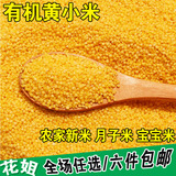 农家自产黄小米月子米小黄米宝宝米有机黄小米熬粥小米包邮250g