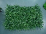 草坪 人造批发绿色装饰塑料地毯草皮单只摆放花艺田园束仿真绿植