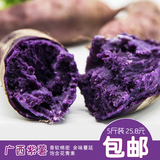 广西农家特产新鲜紫薯 家种生地瓜烤紫薯干饼现挖紫心番薯5斤装