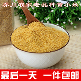 黄小米 农家自产有机小黄米五谷杂粮新米小米粥 月子米孕妇米250g