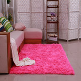 加厚水洗丝毛绒客厅茶几地毯卧室满铺地毯可爱床边地毯长毛地毯