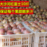 徐州丰县 大沙河苹果 新鲜水果 红富士 苹果 10斤装 江浙沪皖包邮