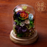 送女友永生花玻璃罩保鲜花微景观创意浪漫礼盒七彩玫瑰花生日礼物
