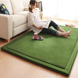 定制满铺纯色珊瑚绒地毯儿童爬行垫客厅卧室绿色环保加厚特价包邮