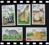 外国邮票 贝宁猫科动物家庭宠物猫邮票5全盖销 家猫 植物 虎皮猫