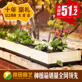 阳台菜园种植箱 特大种菜设备 花盆 塑料种菜盆 长方形蔬菜种植槽