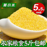 东北农家自产 黄小米 500克 孕妇月子米 无化肥农药 特产小黄米