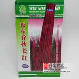 极品春秋长红 原种豇豆种子 早熟 高产 荚长80厘米左右 红色豆角