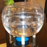我爱发明环保捕蝇器 神仆灭蝇灯 可拆卸捕蝇笼 全透明 抓苍蝇神器