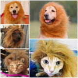 犬猫通用秒变宠物假发狮子头套发饰头饰帽子