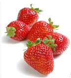 新鲜奶油草莓 精选红颜甜草莓 礼盒装 4盒全国空运包邮
