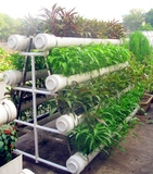 A字长槽式阳台种菜机 大型蔬菜瓜果种植机 花盆容器 园艺工具