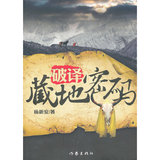 小说《破译藏地密码9787506368148杨新安著/当当正版畅销书籍