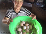 苏北农村散养新鲜土鸡蛋30枚初生月子宝宝农家草鸡蛋笨鸡蛋柴鸡蛋