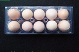 土鸡蛋蛋托草鸡蛋洋鸡蛋透明塑料盒托盘pvc中号带扣10枚批发