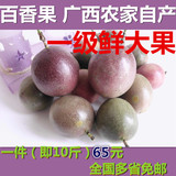 广西容县新鲜水果鸡蛋果百香果优质西番莲免邮单件10斤装