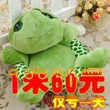 乌龟玩偶毛绒玩具公仔海龟儿童抱枕坐垫布娃娃超大号生日礼物女生