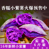 新鲜紫薯6斤紫心番薯地瓜红皮小紫薯紫山芋农家自种小香薯