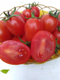 新鲜农家圣女果 小番茄 孕妇小孩水果含维C 小西红柿 广东5斤包邮