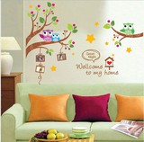 可移除猫头鹰树枝上墙贴纸创意卡通儿童房照片相框组合英文装饰画